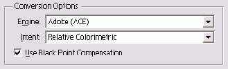  Conversion Options 