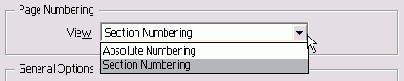  View  Page Numbering